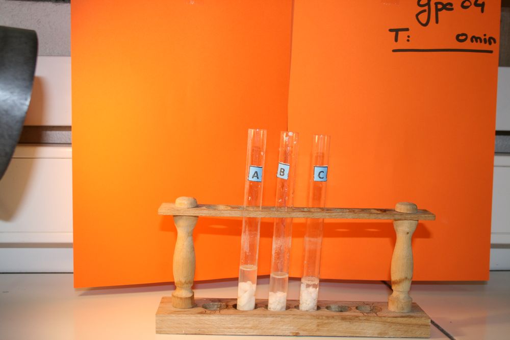 gal/LES_CINQUIEMES/ACTIVITE DIGESTION IN VITRO/Groupe_04/Groupe04_T_00h00min/Groupe04_T_00h_00min_13.JPG